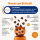Multivitamine si probiotice pentru caini 5-in-1 Chews, 50 tablete masticabile, Zesty Paws 738301