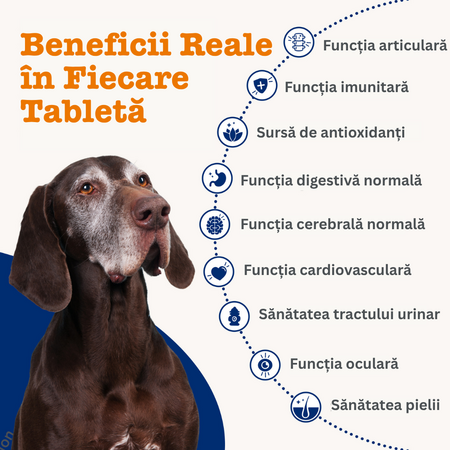 Supliment pentru caini seniori cu vitamine si probiotice Senior Advanced 9-in-1 Chews, 50 tablete masticabile, Zesty Paws 738323
