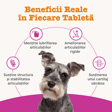 Supliment pentru articulatii si cartilaje la caini Hip & Joint Chews, 50 tablete masticabile, Zesty Paws 738330