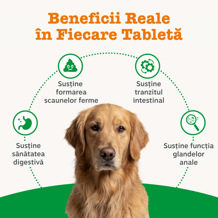 Supliment pentru digestie la caini Scoot Away Chews, 50 tablete masticabile, Zesty Paws 738373