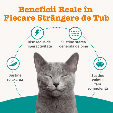 Pasta de calmare pentru pisici Calming Paste, 75 g, Zesty Paws 738393