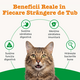 Pasta pentru digestie la pisici Digestion & Prebiotic, 75 g, Zesty Paws 738415