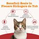 Pasta pentru sistemul urinar si renal la pisici Urinary & Renal Care, 75 g, Zesty Paws 738576