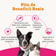 Formula cu ulei de somon pentru blana la caini si pisici Skin & Coat Salmon Oil, 250 ml, Zesty Paws 738569