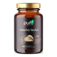 Coama leului, 60 capsule, Pure Organics