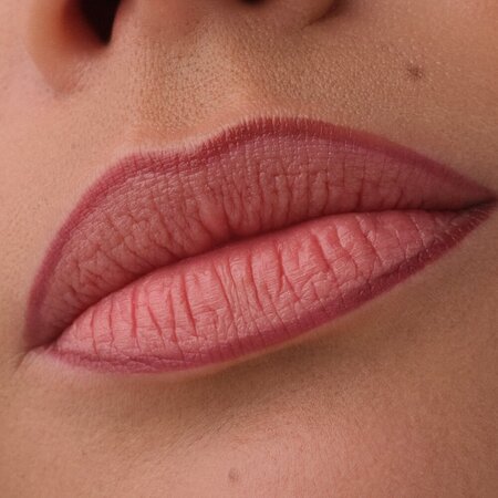 Creion de buze, 010 Hold Tight, Precision Ink Lip Liner Stain, 1 ml, Catrice 742203