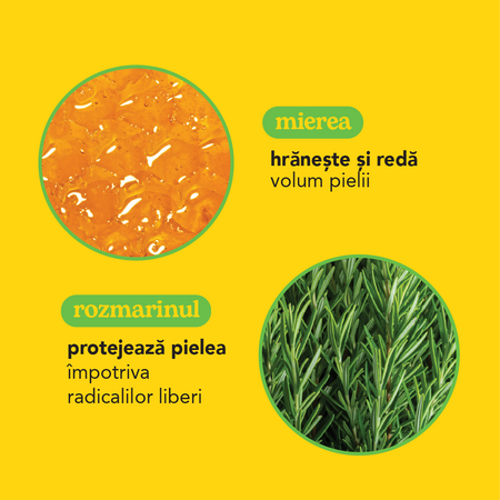 Crema hidratanta de zi cu miere si rozmarin, 50 ml, Beesline 742497