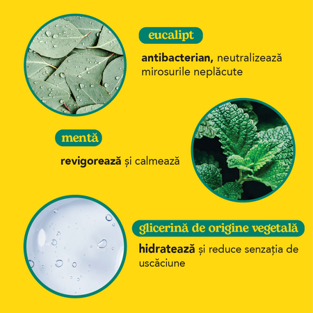 Crema reparatoare pentru picioare cu menta si eucalipt, 100 ml, Beesline 742549
