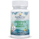 Omega-3 vegan pentru copii cu aroma de fructe de padure Children's DHA, 375 mg, 120 mini capsule, Nordic Naturals 742684