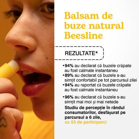 Balsam de buze natural cu aroma tropicala de lime, 4.5 g, Beesline 742752