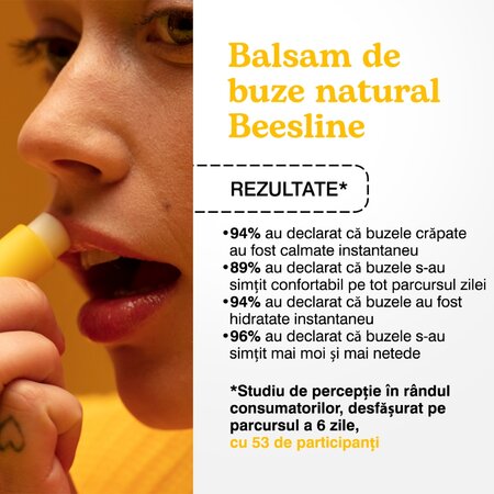 Balsam de buze natural cu aroma tropicala de lime, 4.5 g, Beesline 755318
