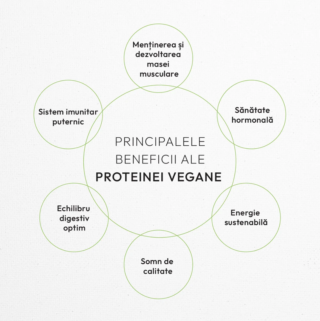 VEGAN PROTEIN 70% products
