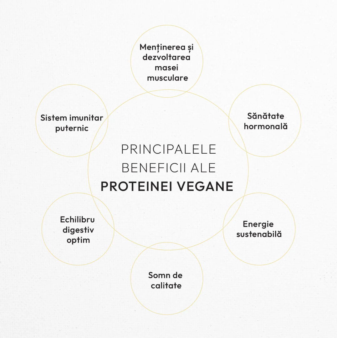 VEGAN PROTEIN 70% products