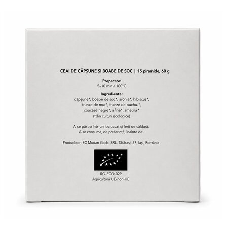 Ceai bio de capsune cu boabe de soc, 15 piramide, Gadal Tea 743707