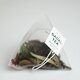 Ceai bio alb cu afine Iced Tea, 10 piramide, Gadal Tea 743455