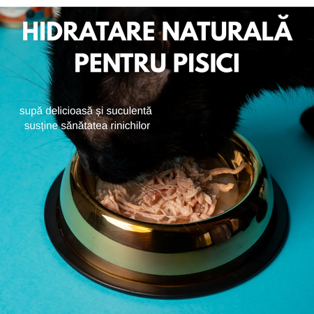Hrana umeda cu piept de curcan maruntit in supa pentru pisici adulte, 80 g, SHAW 743565