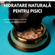 Hrana umeda cu piept de curcan maruntit in supa pentru pisici adulte, 80 g, SHAW 743565