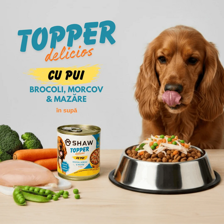 Hrana umeda cu piept de pui, morcov, broccoli si mazare in supa pentru caini Topper, 170 g, SHAW 743531