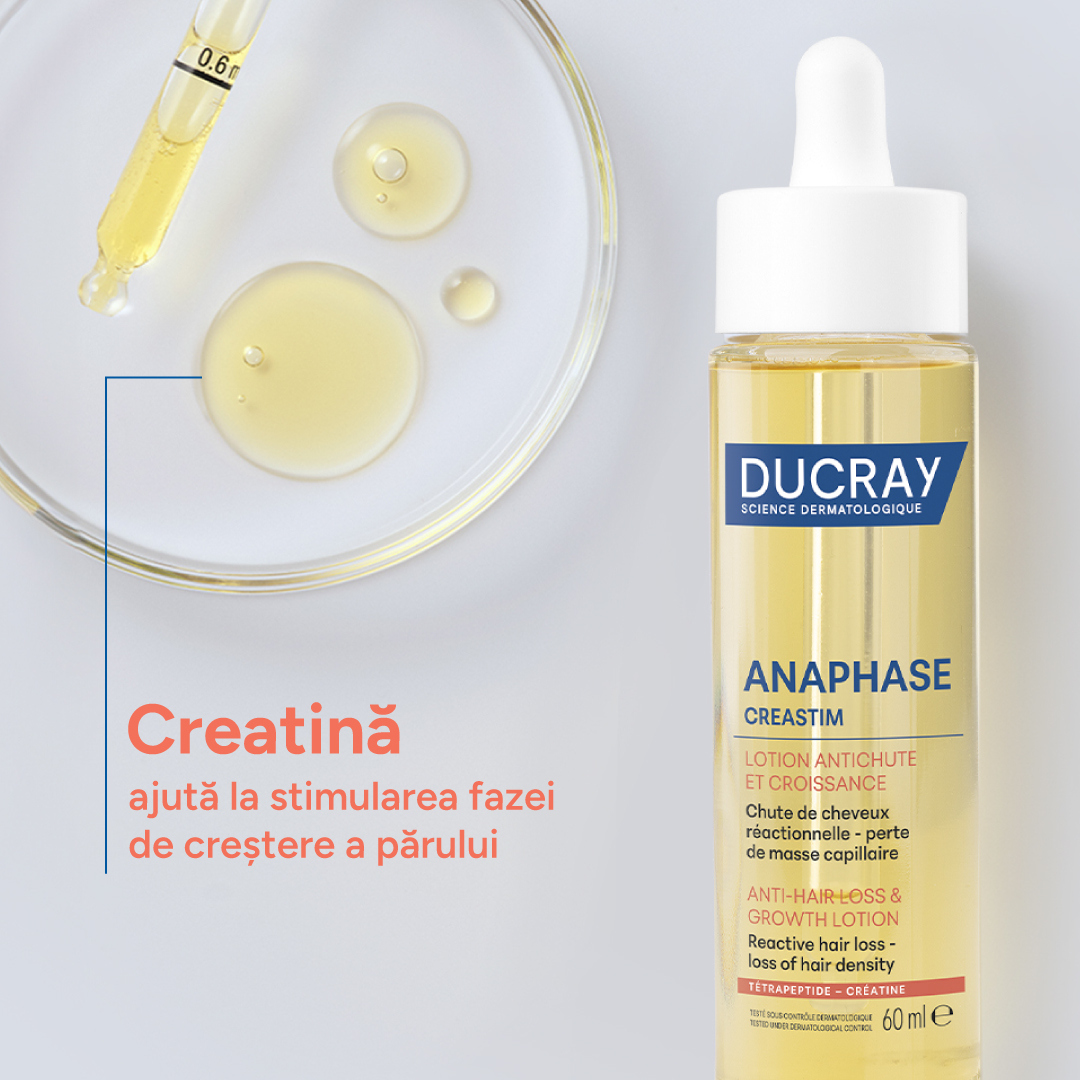 Creatina