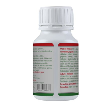 Ghimbir Extract Forte, 120 capsule, Health Nutrition 745249