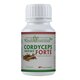 Cordyceps Extract Forte, 120 capsule, Health Nutrition 745665
