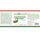 Castravete Tibetan, 60 capsule, Health Nutrition 745717