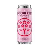 Socata fermentata lent cu pepene rosu, 330 ml, Soculent