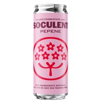 Socata fermentata lent cu pepene rosu, 330 ml, Soculent