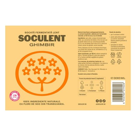 Socata fermentata lent cu ghimbir, 330 ml, Soculent 747424
