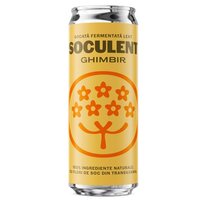 Socata fermentata lent cu ghimbir, 330 ml, Soculent
