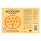 Socata fermentata lent cu ghimbir, 330 ml, Soculent 747424