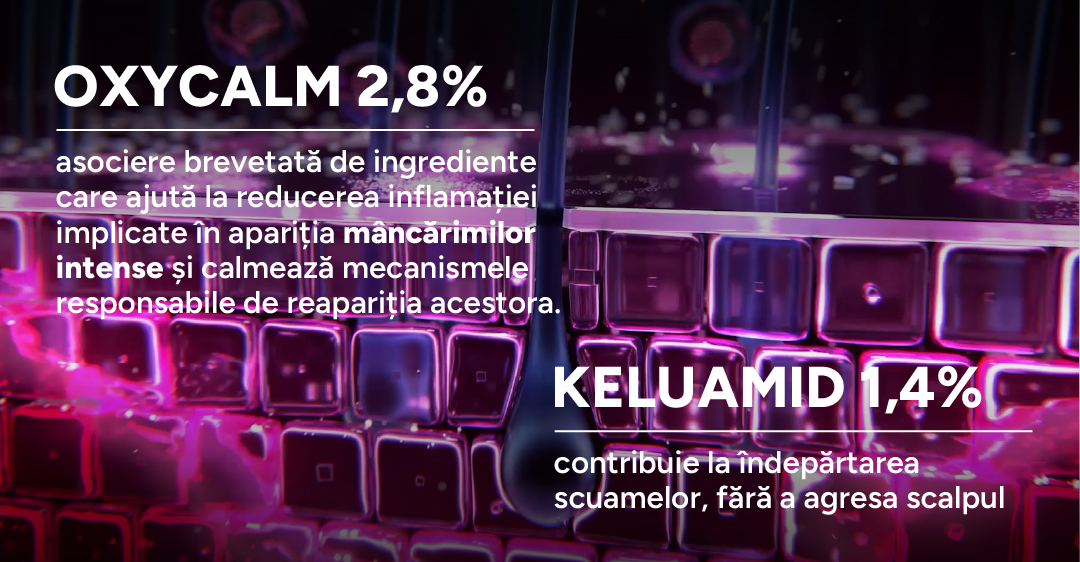 Kelual DS Original Ingrediente banner 2