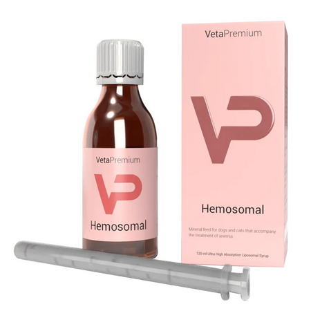 Supliment liposomal pentru caini si pisici anemice Hemosomal, 120 ml, VetaPremium
