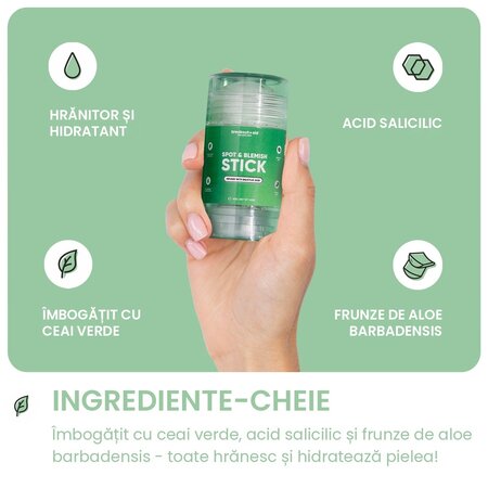Stick pentru cosuri si imperfectiuni Blemish & Spot Stick, 40 g, Breakout+Aid 750467