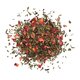 Ceai verde Floral Fantasy vol.1, 100 g, Basilur 750676