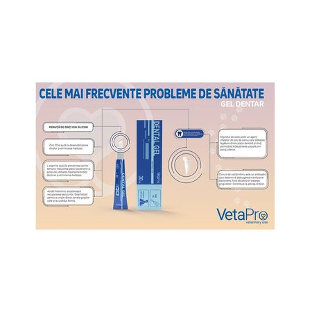 Gel dentar pentru caini si pisici, 30 ml, Vetapro 750764