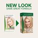 Vopsea de par naturala fara amoniac 10.0 Platinum Blonde, 115 ml, Naturigin 624902