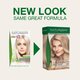 Vopsea de par naturala fara amoniac 10.2 Lightest Blonde Ash, 115 ml, Naturigin 624898