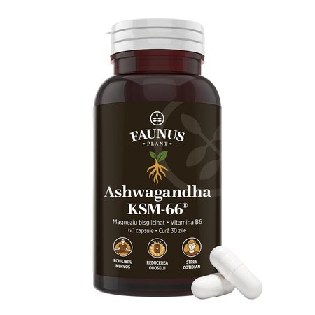 Ashwagandha KSM-66, 60 capsule, Faunus Plant 751277