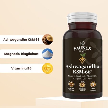 Ashwagandha KSM-66, 60 capsule, Faunus Plant 751281