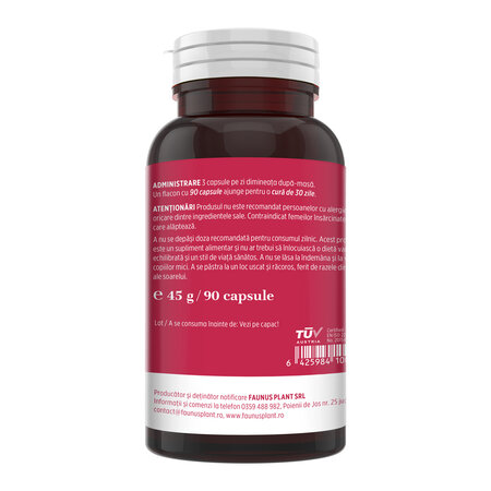Vitaminizantus Forte, 90 capsule, Faunus Plant 751702