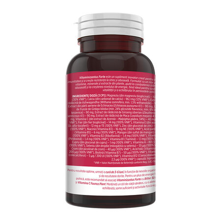Vitaminizantus Forte, 90 capsule, Faunus Plant 751703