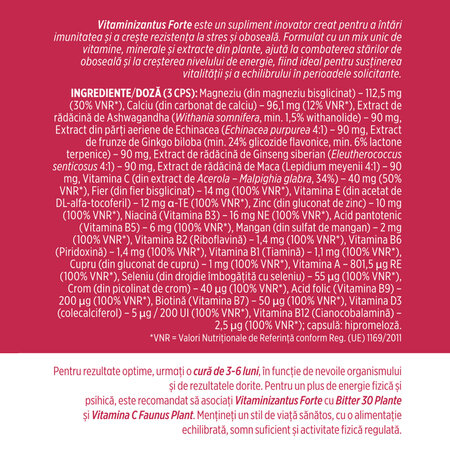 Vitaminizantus Forte, 90 capsule, Faunus Plant 751704