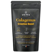 Colagen cu creatina Creatine Boost Colagenus, 457 g, Faunus Plant