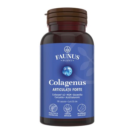 Articulatii Forte Colagenus, 90 capsule, Faunus Plant