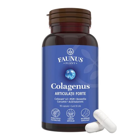 Articulatii Forte Colagenus, 90 capsule, Faunus Plant 755147