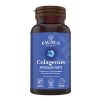 Articulatii Forte Colagenus, 90 capsule, Faunus Plant