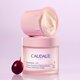 Rezerva Crema pentru fermitatea tenului Cashmere Resveratrol Lift, 50 ml, Caudalie 755618