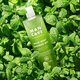 Gel de dus pentru barbati Wild Mint, 500 ml, Mancave 755900