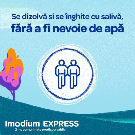 Imodium, 2 mg, 6 comprimate orodispersabile, Mcneil 723746